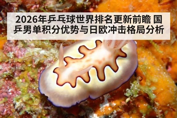 2026年乒乓球世界排名更新前瞻 国乒男单积分优势与日欧冲击格局分析